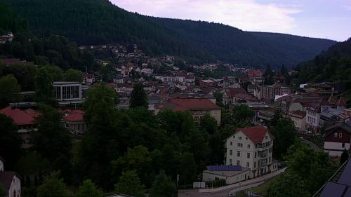 Webcam Bad Wildbad