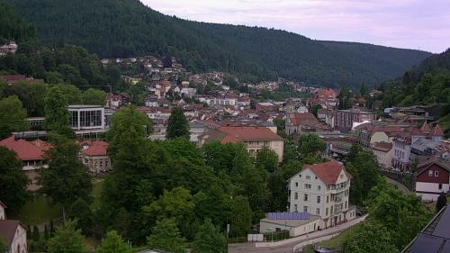 Webcam Bad Wildbad