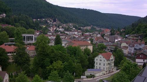 Webcam Bad Wildbad