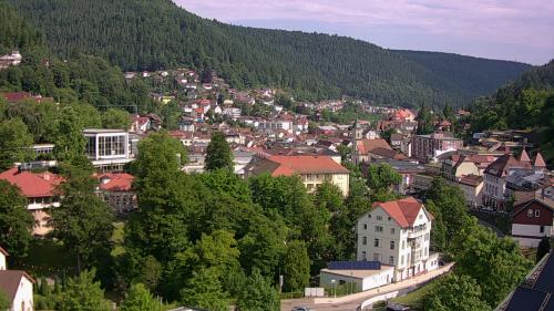 Webcam Bad Wildbad