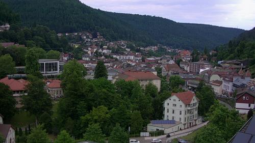 Webcam Bad Wildbad