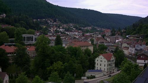 Webcam Bad Wildbad
