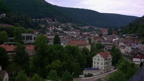 Webcam Bad Wildbad