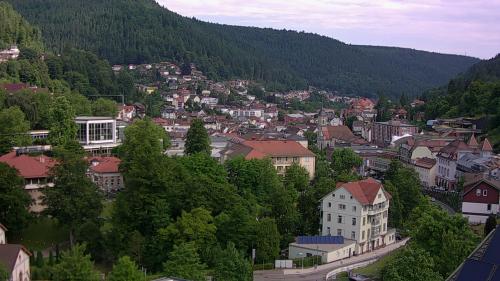 Webcam Bad Wildbad