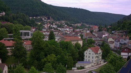 Webcam Bad Wildbad