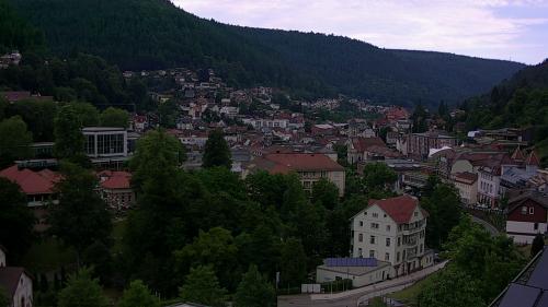 Webcam Bad Wildbad