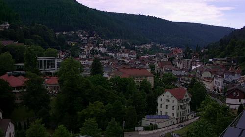 Webcam Bad Wildbad