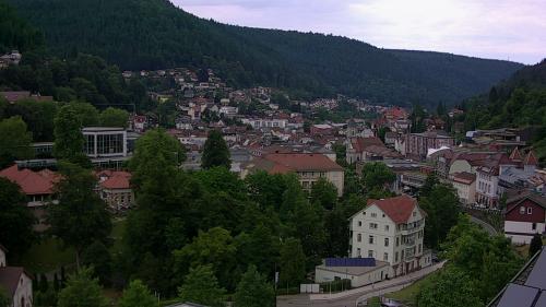 Webcam Bad Wildbad
