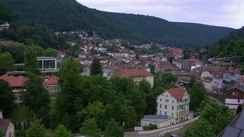 Webcam Bad Wildbad