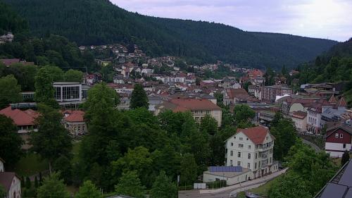 Webcam Bad Wildbad