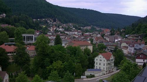Webcam Bad Wildbad