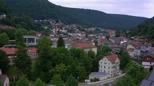 Webcam Bad Wildbad