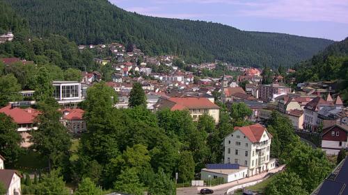 Webcam Bad Wildbad