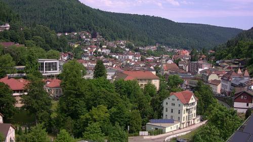 Webcam Bad Wildbad