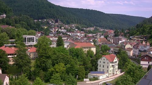 Webcam Bad Wildbad