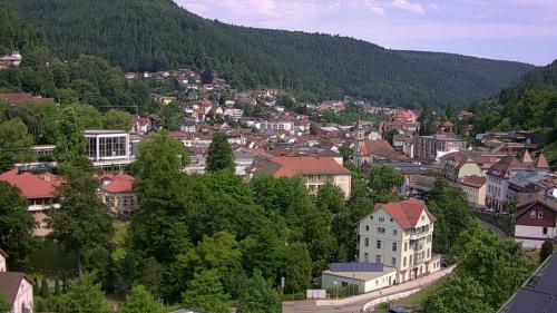 Webcam Bad Wildbad