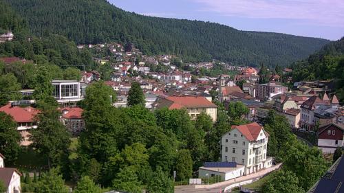 Webcam Bad Wildbad
