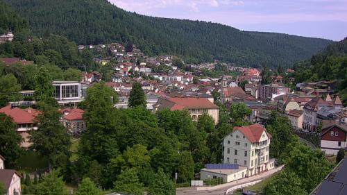 Webcam Bad Wildbad