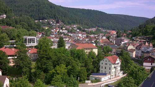 Webcam Bad Wildbad