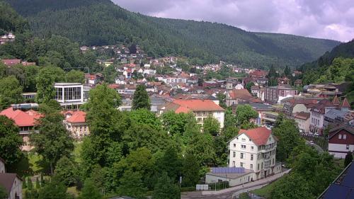 Webcam Bad Wildbad