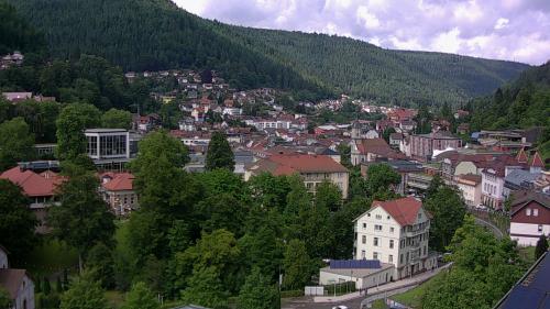 Webcam Bad Wildbad