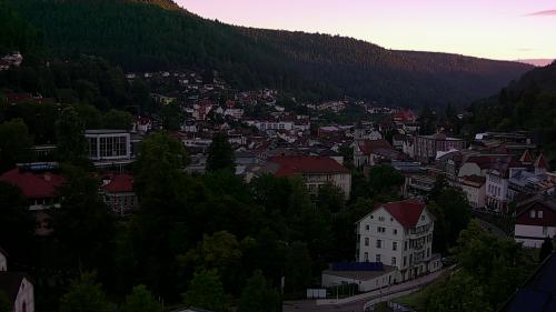 Webcam Bad Wildbad