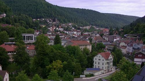 Webcam Bad Wildbad