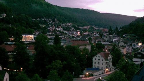 Webcam Bad Wildbad