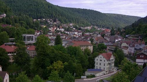 Webcam Bad Wildbad