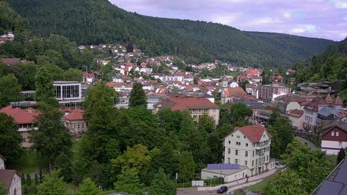Webcam Bad Wildbad