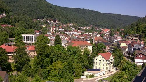 Webcam Bad Wildbad