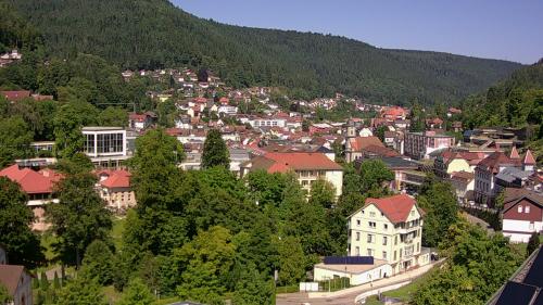Webcam Bad Wildbad