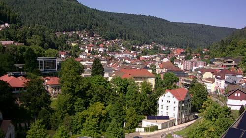 Webcam Bad Wildbad
