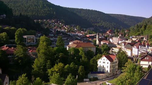 Webcam Bad Wildbad