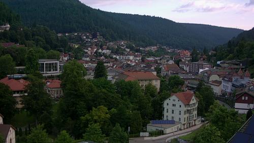 Webcam Bad Wildbad