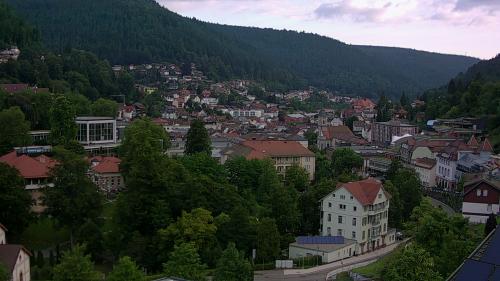Webcam Bad Wildbad