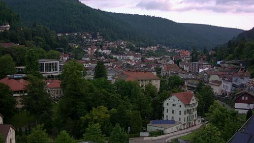 Webcam Bad Wildbad
