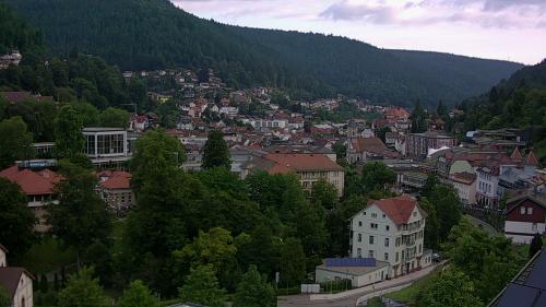 Webcam Bad Wildbad