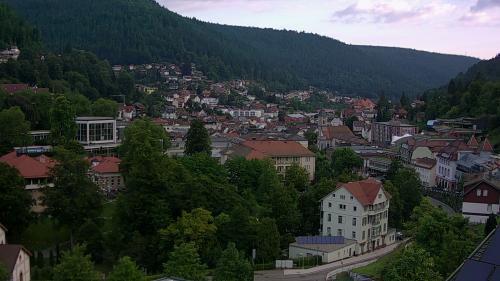 Webcam Bad Wildbad