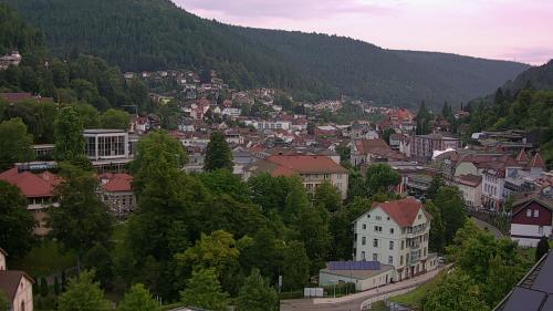 Webcam Bad Wildbad