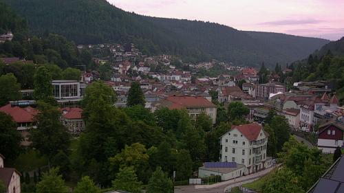 Webcam Bad Wildbad