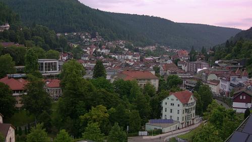 Webcam Bad Wildbad