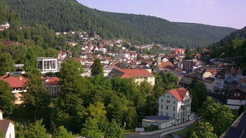 Webcam Bad Wildbad