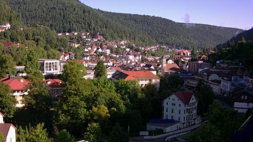 Webcam Bad Wildbad