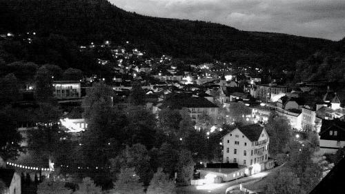 Webcam Bad Wildbad