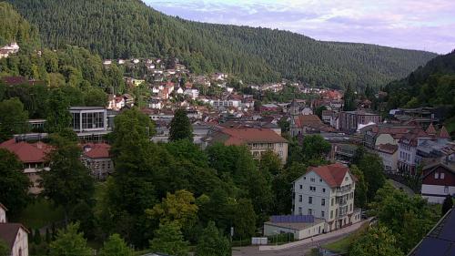 Webcam Bad Wildbad