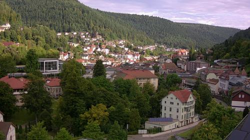 Webcam Bad Wildbad