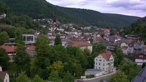 Webcam Bad Wildbad