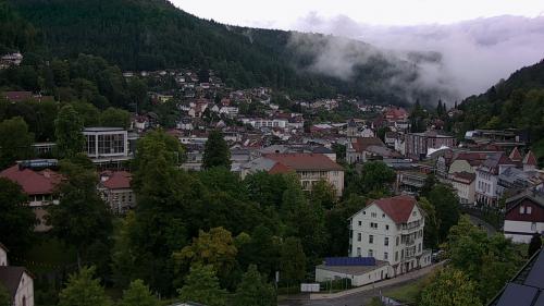 Webcam Bad Wildbad