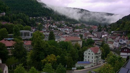 Webcam Bad Wildbad